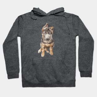 German Shepherd Puppy Hoodie